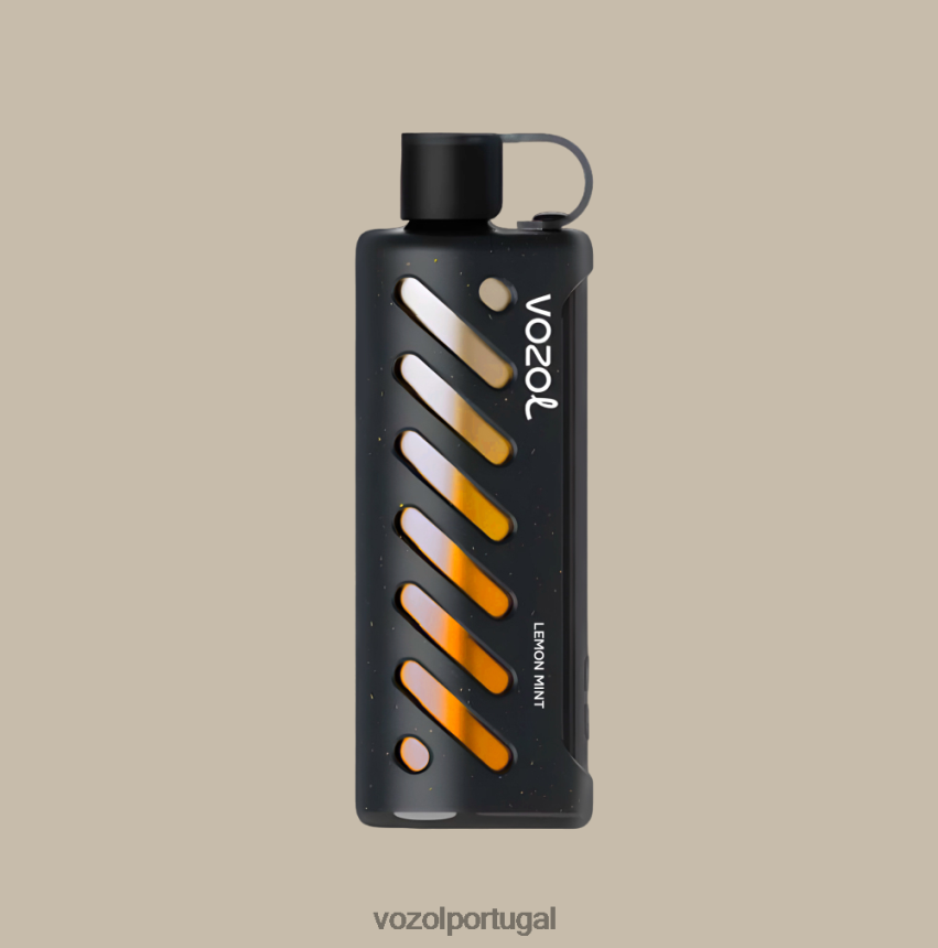 VOZOL Vape Portugal - VOZOL shisha de engrenagem 25000 2482DR1