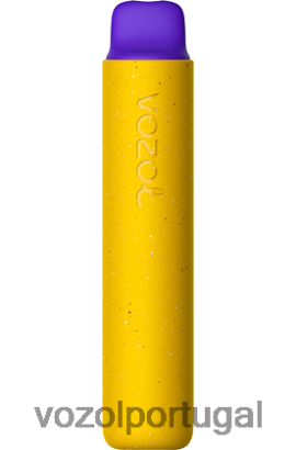 VOZOL Review - VOZOL STAR 2000 X6LH68159 gelo de manga