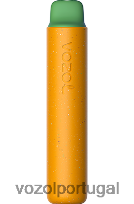 VOZOL Vape Recargable - VOZOL STAR 2000 X6LH68156 pássaro da selva