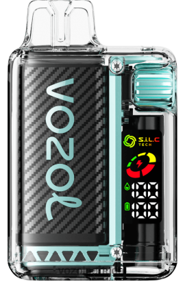 VOZOL Review - VOZOL VISTA 16.000/20.000 X6LH689 hortelã de miami